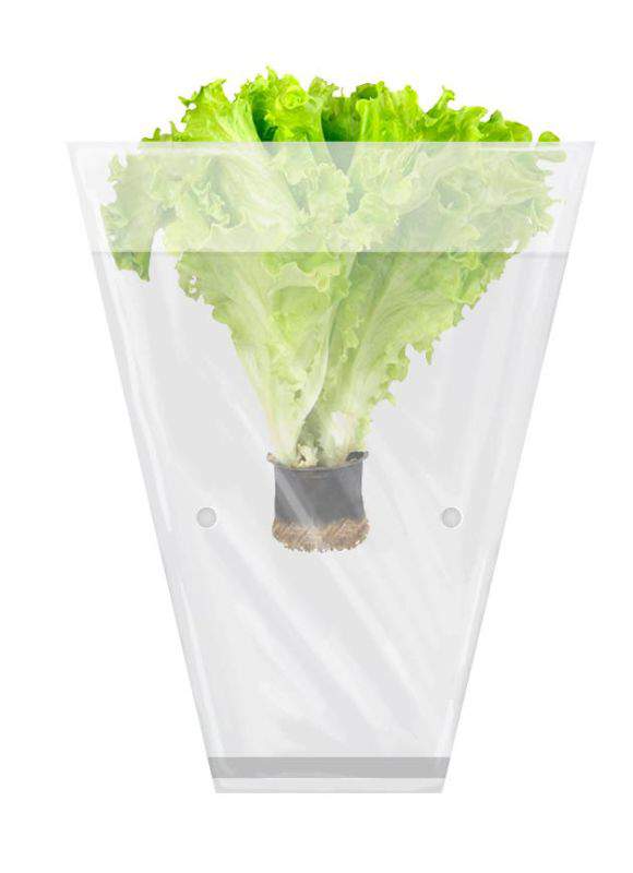 Трапецевидный пакет для листового салата